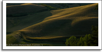 Grassed Triptych